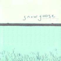 CD graphic